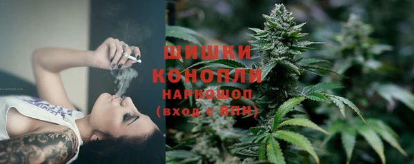 PSILOCYBIN Богородск